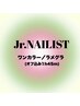 ★Jr.ネイリスト★ワンカラー/ラメグラ【オフ無料】2色まで選べる♪