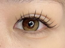 カミエ(Kamie)/フラットラッシュ120本