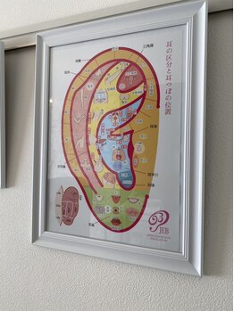 イトミミ(いとみ3)/耳つぼ