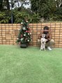 インフィニット ボディエイジングケアサロン(infinite Body AgingCare salon) てんしばのドックラン♪