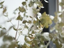 カラダの調整所の雰囲気（暖かみのある、こだわりの空間です。）
