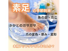 ドクターネイル爪革命 江戸川橋店