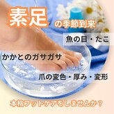 ドクターネイル爪革命 江戸川橋店