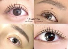 カランコエ(Kalanchoe)