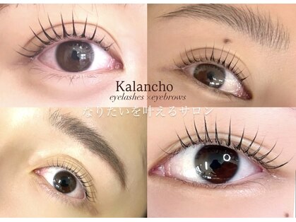 カランコエ(Kalanchoe)の写真