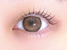 セクションプラス 吉祥寺(SECTION+)/上下まつげパーマ