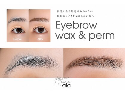 アーラ(ala)の写真