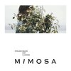 ミモザ(MIMOSA)ロゴ