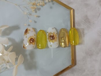 ８月定額デザインコース