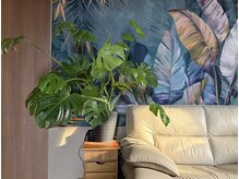 張鍼灸整体院