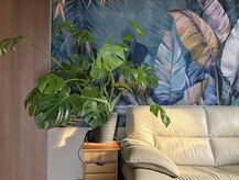 張鍼灸整体院