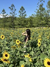 ヘリアンサス(Helianthus)&nbsp;haru 