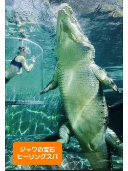 ジャワの宝石/水中に宿る原始の力