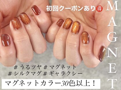 パラグラフ 橋本店(paragraph)の写真