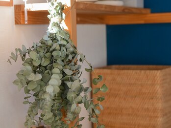 ニッコヤ(nikkoya)/サロンの様子　外観・内観