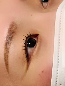 ヴィーナス アイビューティー(VENUS Eye Beauty)/まつ毛パーマ