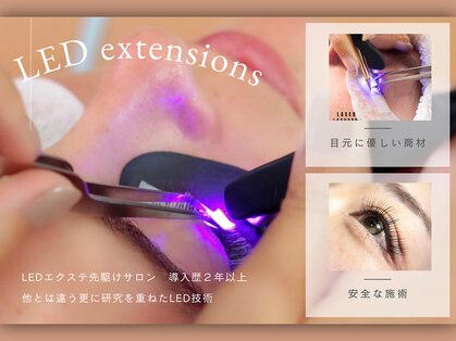 コア(Koa)の写真