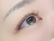 バタフライ 茅ヶ崎店(Butterfly)/パーフェクトラッシュ120束