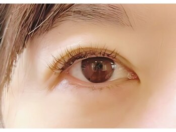 トランジットケイ(TRANSIT K)/大人の上品マツエク