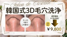 サロン ド カスケード(Salon de Cascade)