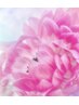 初回2回セットの2回目