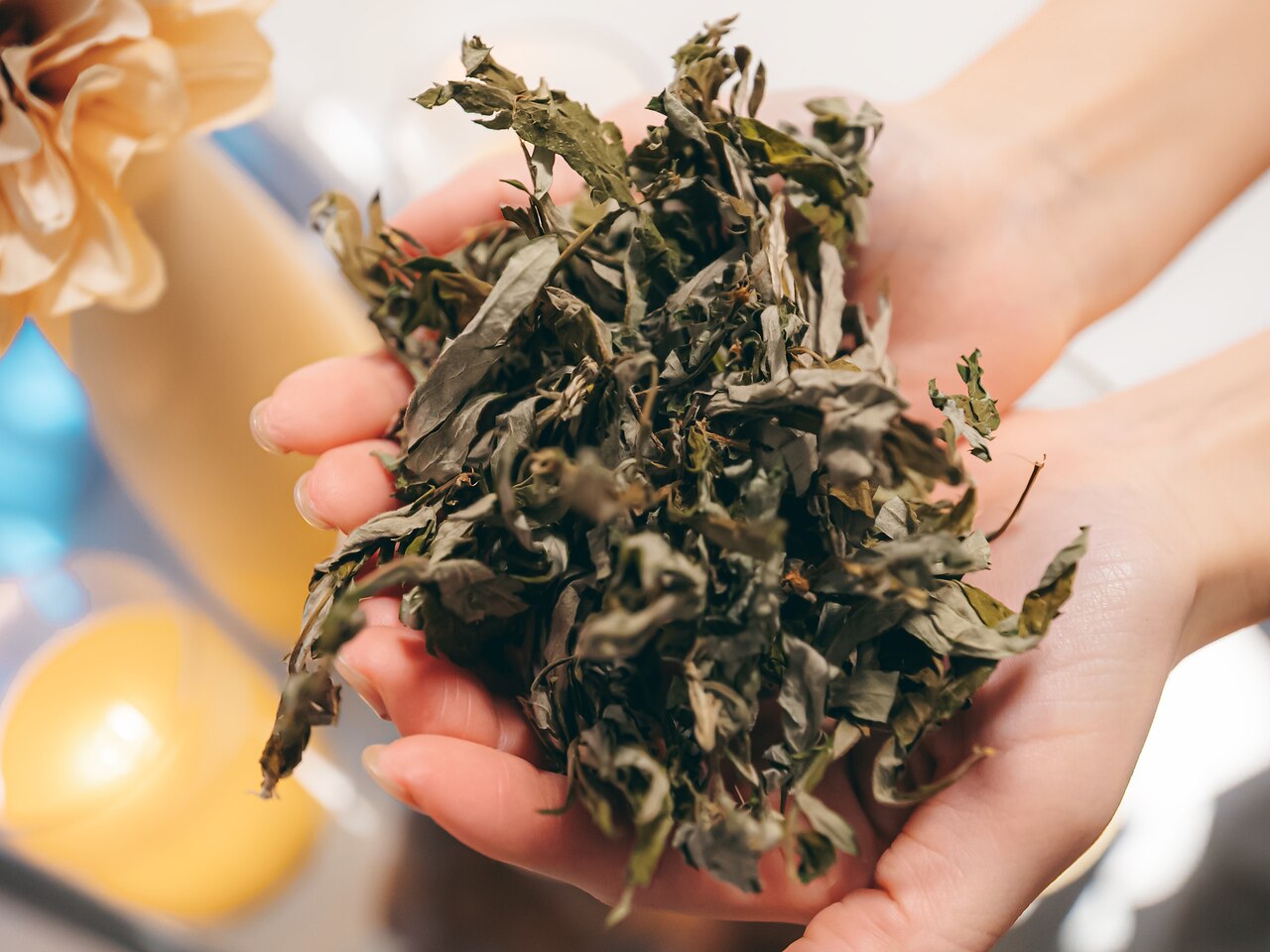 ヨサパーク 十色 横浜店(YOSA PARK)｜ホットペッパービューティー