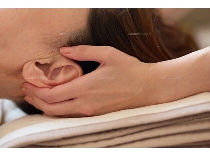 プシュケ(psyche)の写真