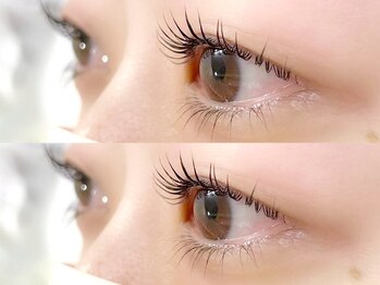 アミル(amiLe)/しっかり立ち上げラッシュリフト