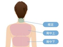 ボス 大垣店(BOSS)/【メンズ脱毛/上半身背面】#脱毛