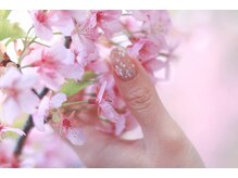 4月定額デザイン