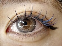 セレストヴィーナス(Celeste Venus)/カラー変更バインドロック100束