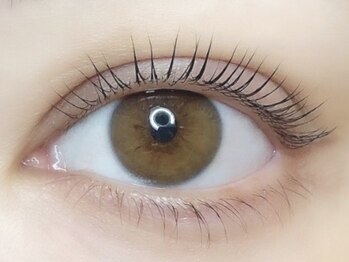 ローラント(LAURENT)/上下パリジェンヌラッシュリフト