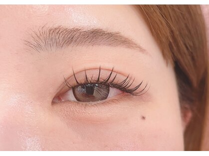 ロケラニ(Lokelani)の写真