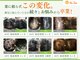 リアン 目黒(Re-Ane)の写真