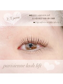 ホワイトカメリア(White Camellia)/パリジェンヌ/マツエクサロン