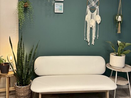 フロウ(Flow)の写真