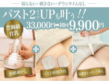美人バスト 山梨店の写真