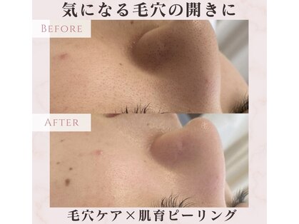 プレジール(Plaisir)の写真