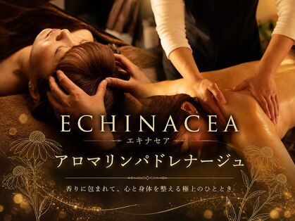 エキナセア(ECHINACEA)の写真