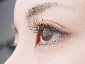 ルッソ(LUSSO)/オールブラウン120本