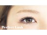 【Perfect Lash】 軽量&長持ちマツエク☆120束