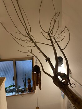 糸色 十色/吹き抜けには流木!