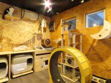 Salon de Antique*～猫のいるプライベートサロン～