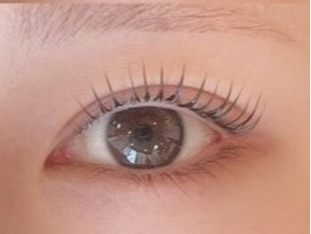 バタフライ 茅ヶ崎店(Butterfly)/まつ毛パーマ