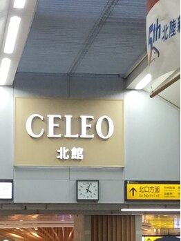 極めリラクゼーション/エスカレーターを降りて