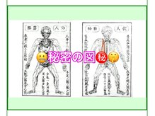 愛知腱引き道場 大府/400年の歴史...古式腱引き療法