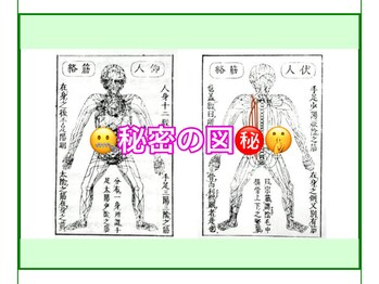 愛知腱引き道場 大府/400年の歴史...古式腱引き療法