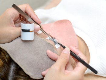 プリューム(Plume)/バインドロック80束（240本）