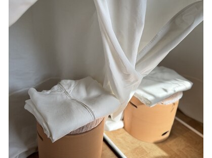 タオ(tao)の写真