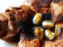 アットマイサロン 北綾瀬ららテラス店(at my salon)/trendプラン初回6900円